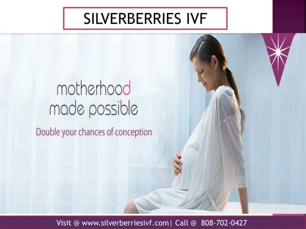 Silverberries IVF Fertility Treatment Center