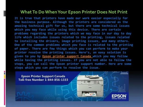 What To Do When Your Epson Printer Does Not Print