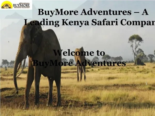BuyMore Adventures - A Leading Kenya Safari Company