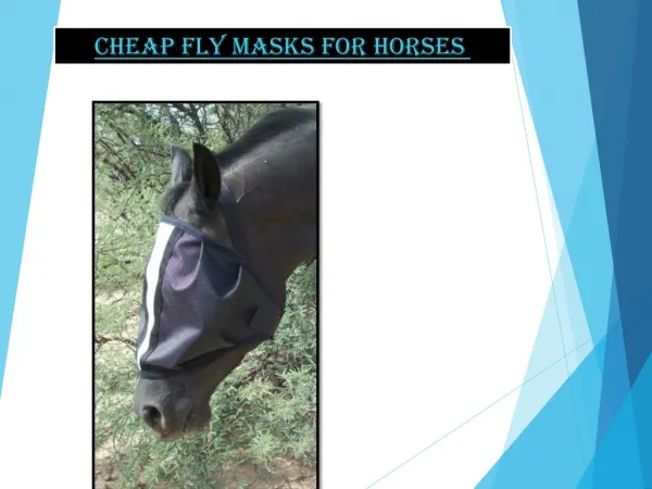 Cheap Fly Masks for Horses - Mhssuperblog