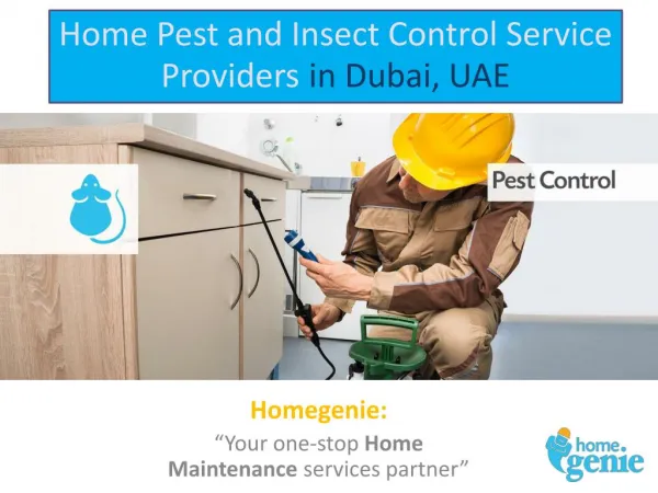 Home Pest and Insect Control Service Providers in Dubai, UAE