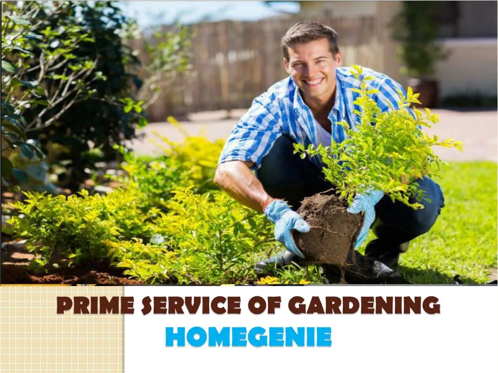 prime service of gardening homegenie