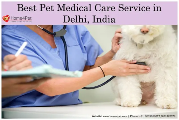 Best Pet Medical Care Service in Delhi, India