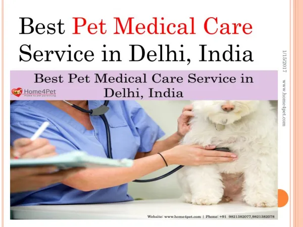 Best Pet Medical Care Service in Delhi, India