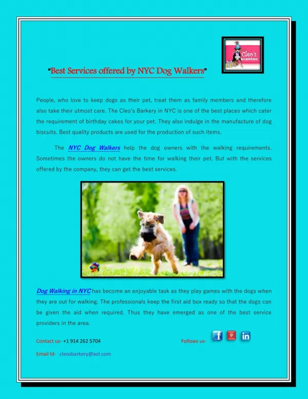 Best Services offered by NYC Dog Walkers