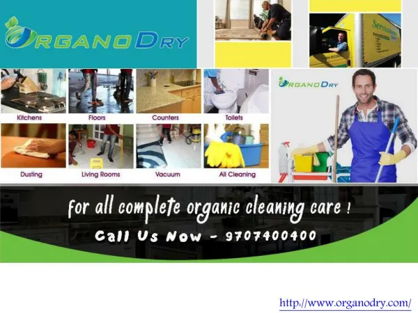 Professional office Cleaning Services in Delhi/NCR