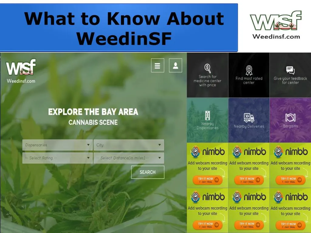 what to know about weedinsf