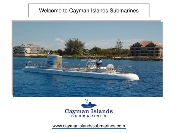 Wondering about what to do in the Cayman Islands?