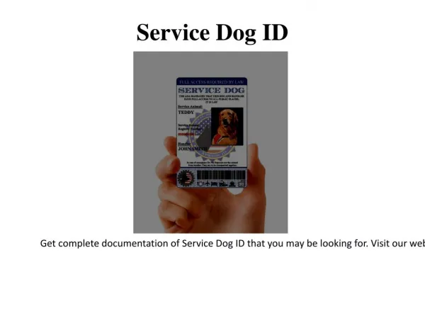 Search and Rescue Dog ID