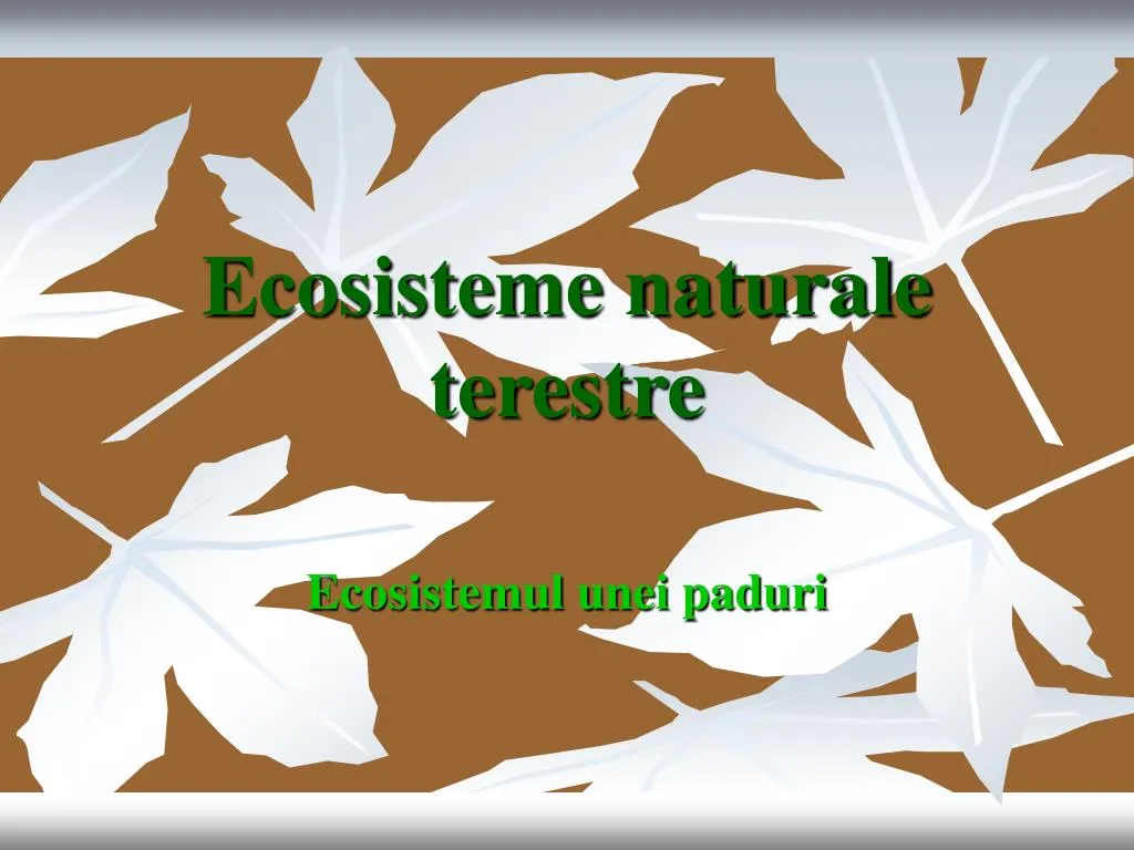 ecosisteme naturale terestre
