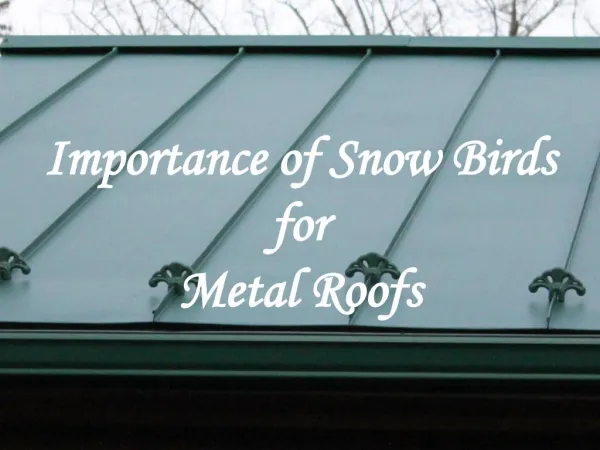 Importance of Snow Birds for Metal Roofs - Alpha Rain Inc.