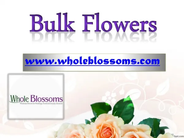 Bulk Flowers - www.wholeblossoms.com