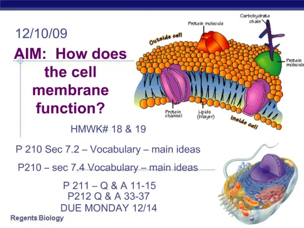 AIM: How does the cell membrane function
