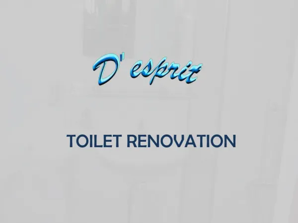 Toilet Renovation - Desprit Interiors
