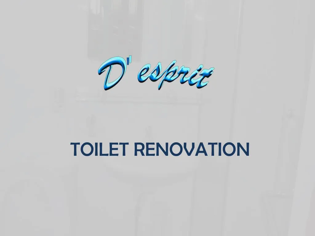 toilet renovation