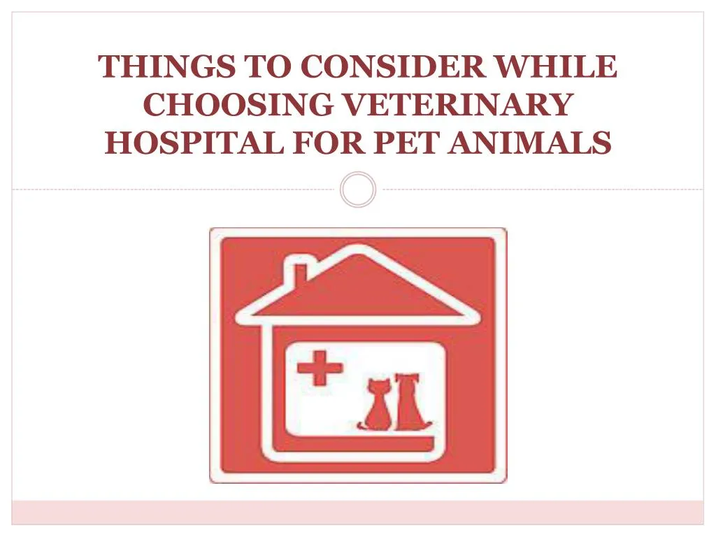 things to consider while choosing veterinary hospital for pet animals