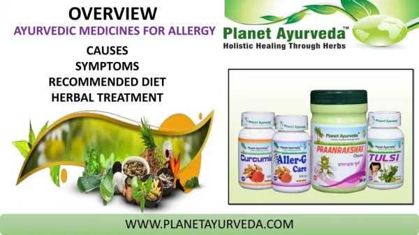 How to Manage Seasonal Allergies -Herbal Remedies for Allergy