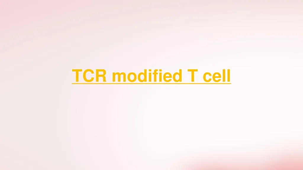 tcr modified t cell