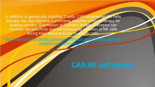 CAR NK cell therapy