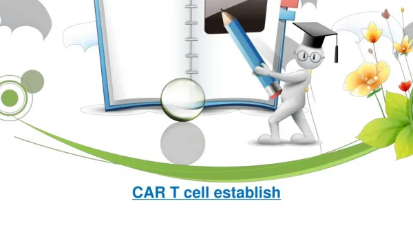 CAR T cell establish