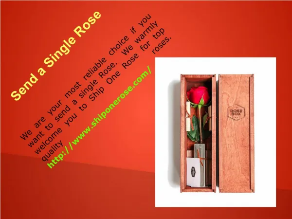 One Red Rose Online Order