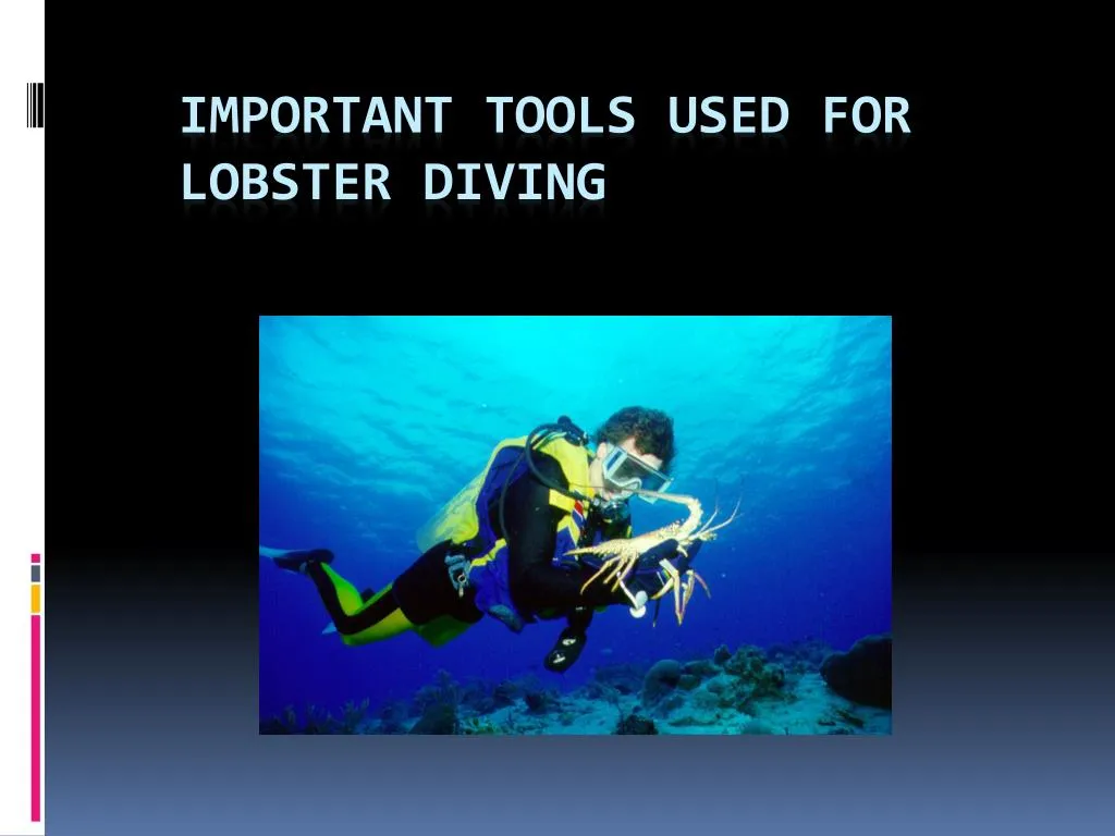 important tools used for lobster diving