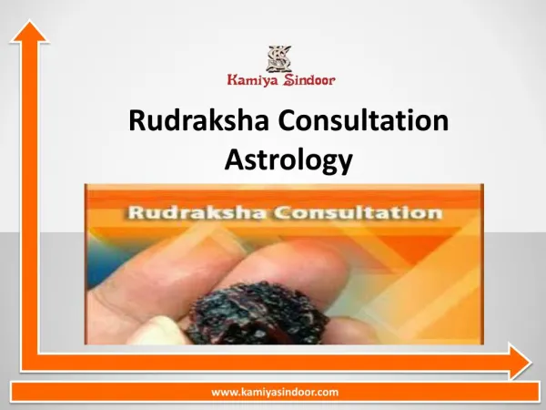 Rudraksha Consultation services