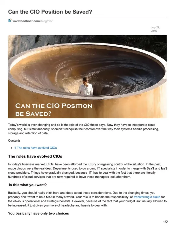 Can the CIO Position be Saved?