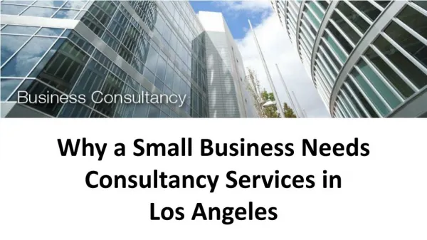 Why a Small Business Needs Consultancy Services in Los Angeles