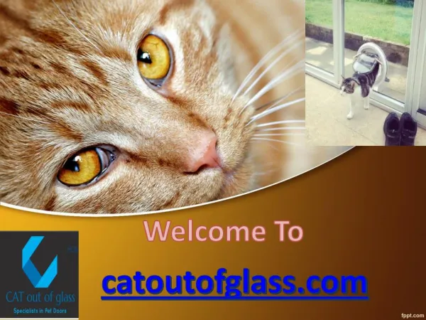 Cat flap fitters,Cat flap installation ,Cat flap in glass,Cat flap