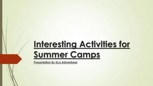 Interesting Activities for Summer Camps
