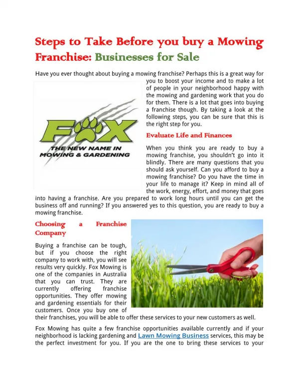 Steps to Take Before you buy a Mowing Franchise: Businesses for Sale