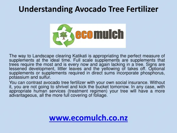 Understanding avocado tree fertilizer
