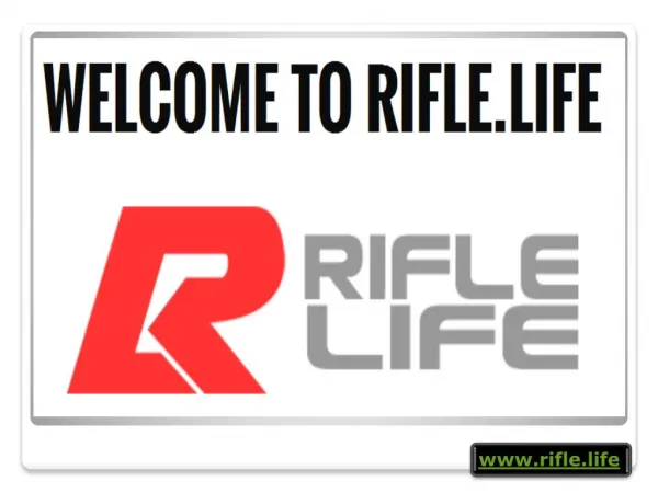 Lower Receiver Parts - Rifle.life
