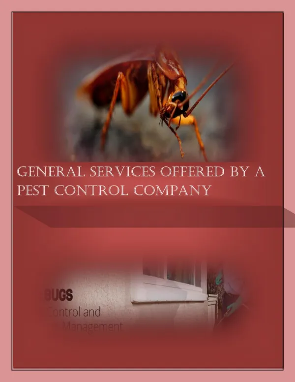 General Services Offered By a Pest Control Company