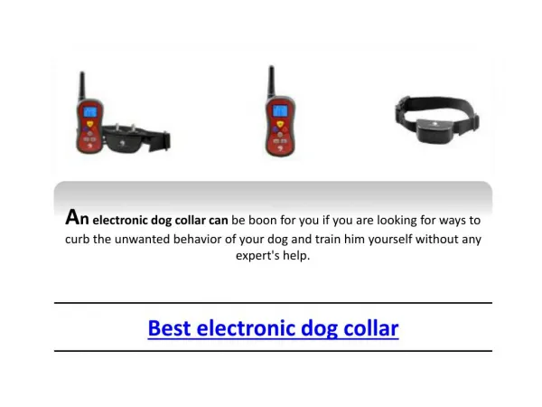 Best electronic dog collar