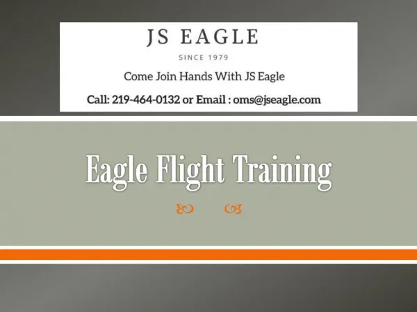 Eagle Flight Training