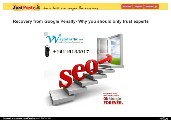 Recovery from Google Penalty- Why you should only trust experts