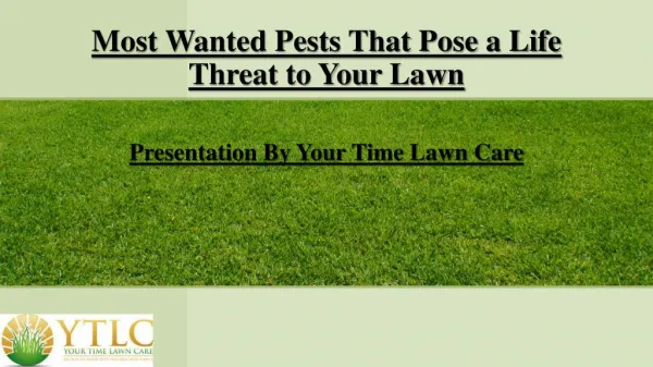 Most Wanted Pests That Pose a Life Threat to Your Lawn