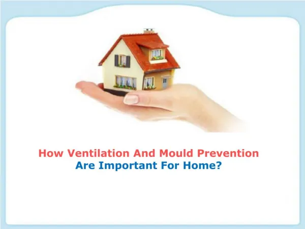 How Ventilation And Mould Prevention Are Important For Home