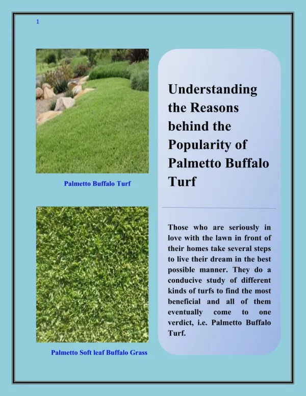 Understanding the Reasons behind the Popularity of Palmetto Buffalo Turf