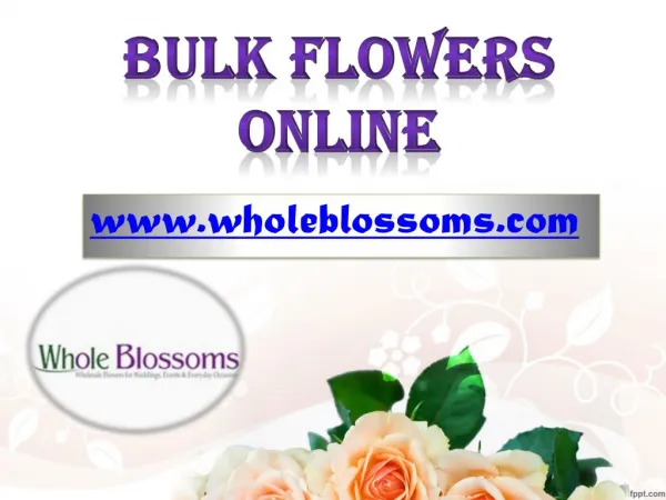 Bulk Flowers Online - Wholesale Flowers