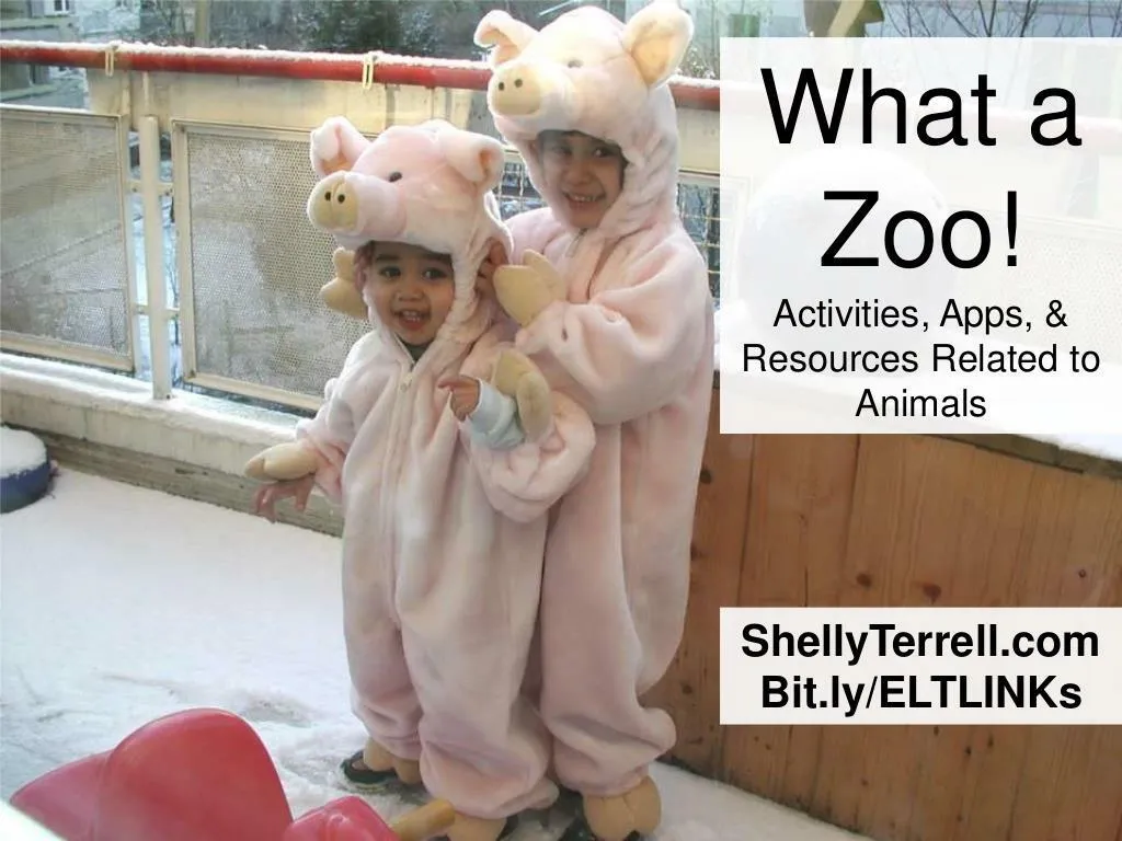 what a zoo animal activities apps tools