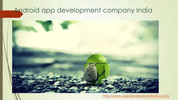 application development company