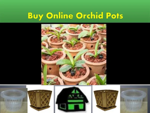 Buy Online Best Orchid Pots