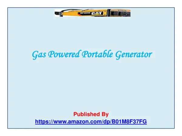 Gas Powered Portable Generator