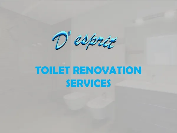 Toilet Renovation Services Provider in Singapore