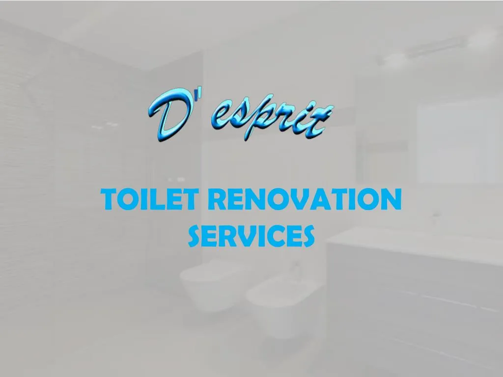 toilet renovation services