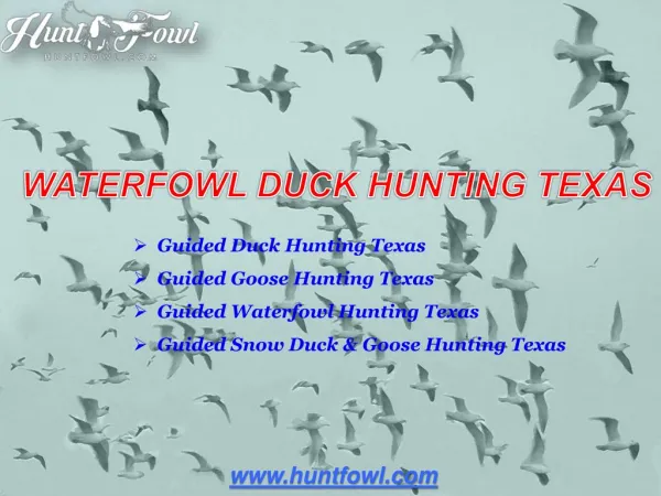 Duck Hunting Texas - Huntfowl