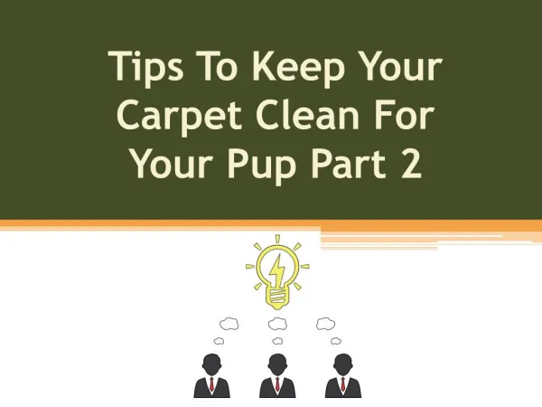 Tips To Keep Your Carpet Clean For Your Pup Part 2